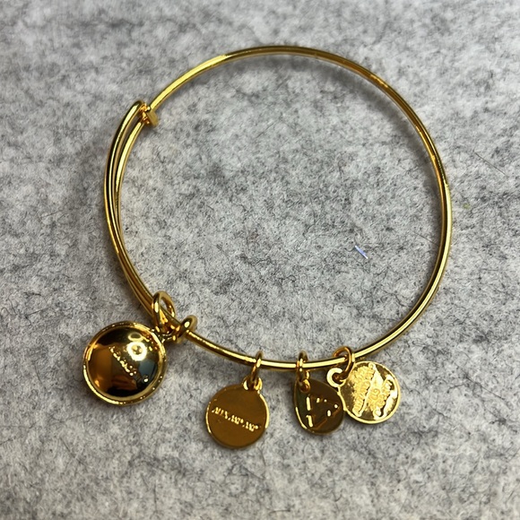 Alex and Ani charm bangle - Picture 3 of 7